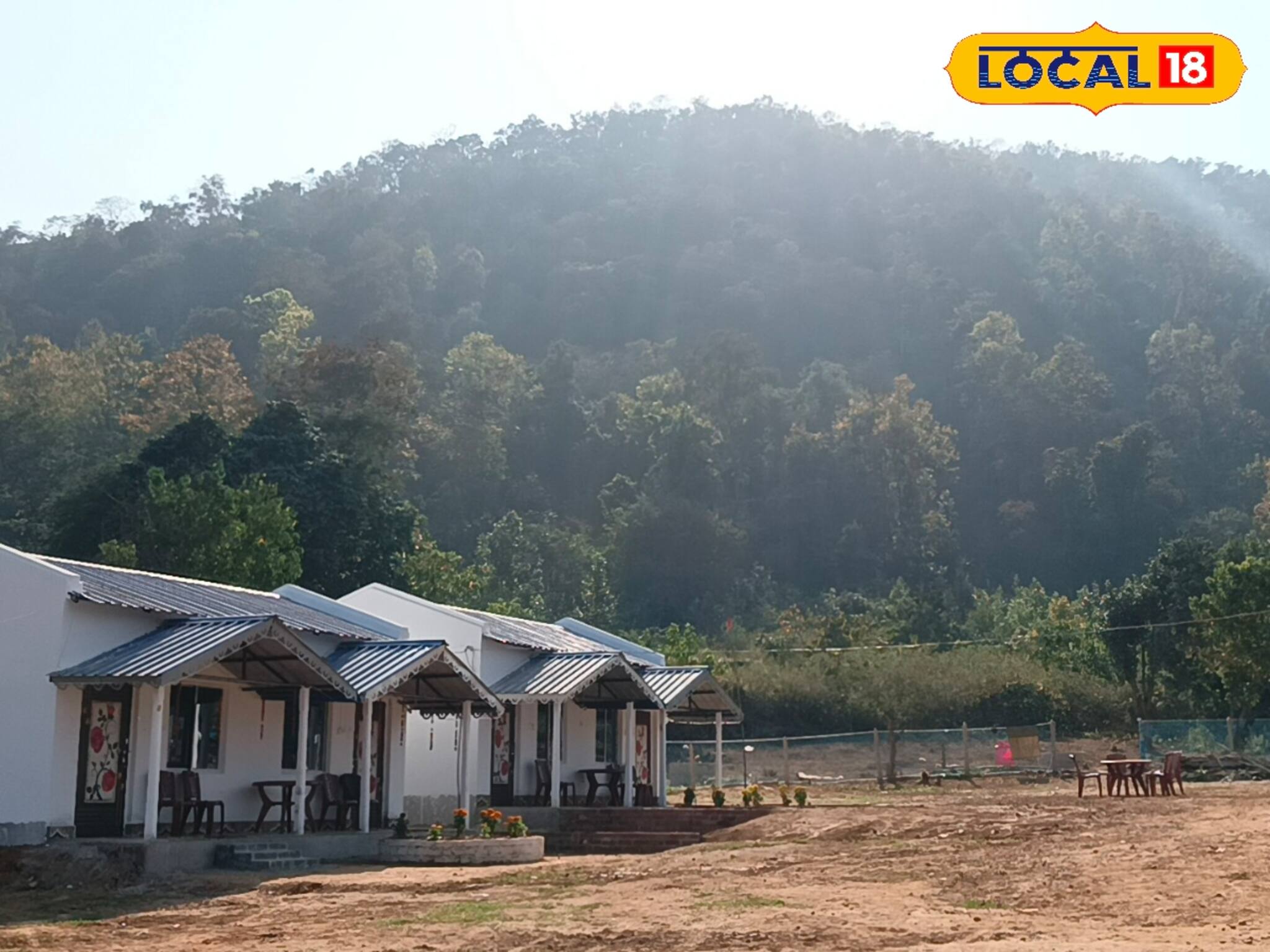 Jhargram News: অনাহারের আমলাশোল এখন রোজগারের খনি! হেসেখেলে ১০ হাজার টাকা রোজগার করছেন যুবক-যুবতীরা