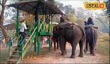 হাতিদের কাছ থেকে দেখতে চান, তাদের সঙ্গে রাত কাটাবেন? তাহলে যেতে হবে গরুমারার এই জায়গায়