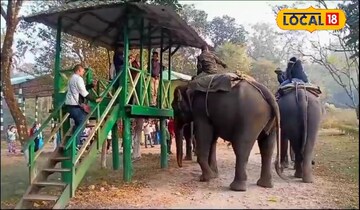 এলিফ্যান্ট