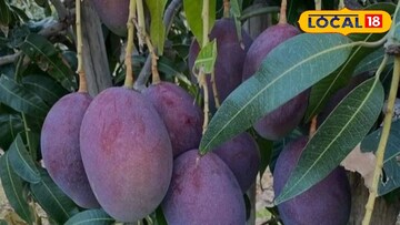 থাইল্যান্ডের