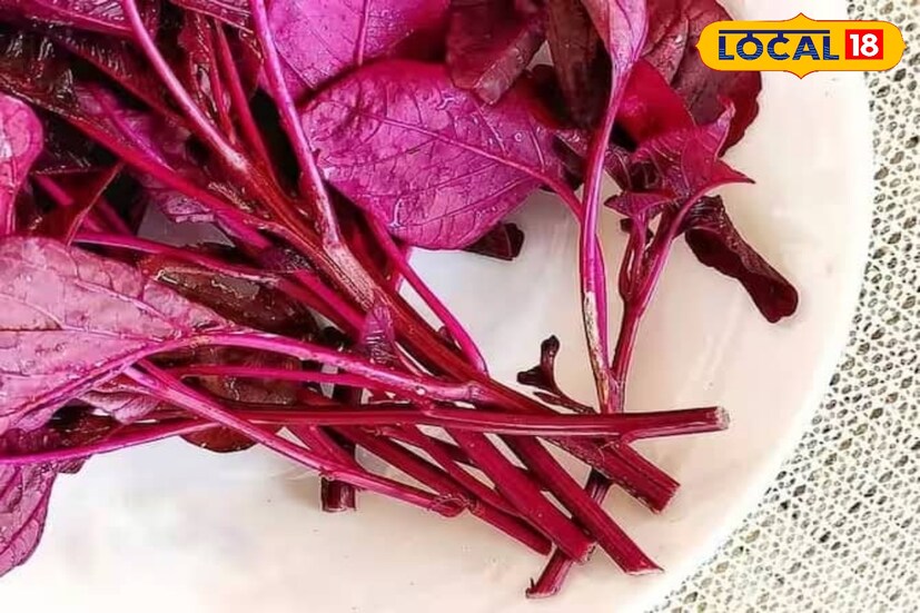 তবে এই শাক এর শুধু পাতা নই এর ডাটার ও চচ্চড়ি বানিয়ে খেতে পারেন।লাল শাকে পর্যাপ্ত পরিমাণে ভিটামিন কে রয়েছে।এটি হাড়ের স্বাস্থ্যের উন্নতিতে সাহায্য করে।লাল শাকে থাকা 'ফাইটোস্টেরল' হার্টের স্বাস্থ্যের জন্য উপকারী।