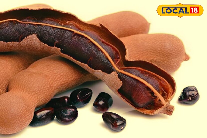 সাধারণ ভাবে তেঁতুল খেতে পছন্দ করেন বেশিরভাগ মহিলারাই। তবে এই টক ফলের গুরুত্ব যেকোনও মানুষের জন্য রয়েছে বেশ অনেকটা। সাধারণ ভাবে তেঁতুল খেতে পছন্দ করেন বেশিরভাগ মহিলারাই। তবে এই টক ফলের গুরুত্ব যেকোনও মানুষের জন্য রয়েছে বেশ অনেকটা।