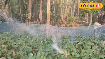 কৃষকদের