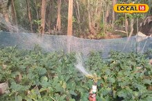 কৃষকদের সুবর্ণ সুযোগ! বিনামূল‍্যে পেয়ে যাবেন সেচ যন্ত্র