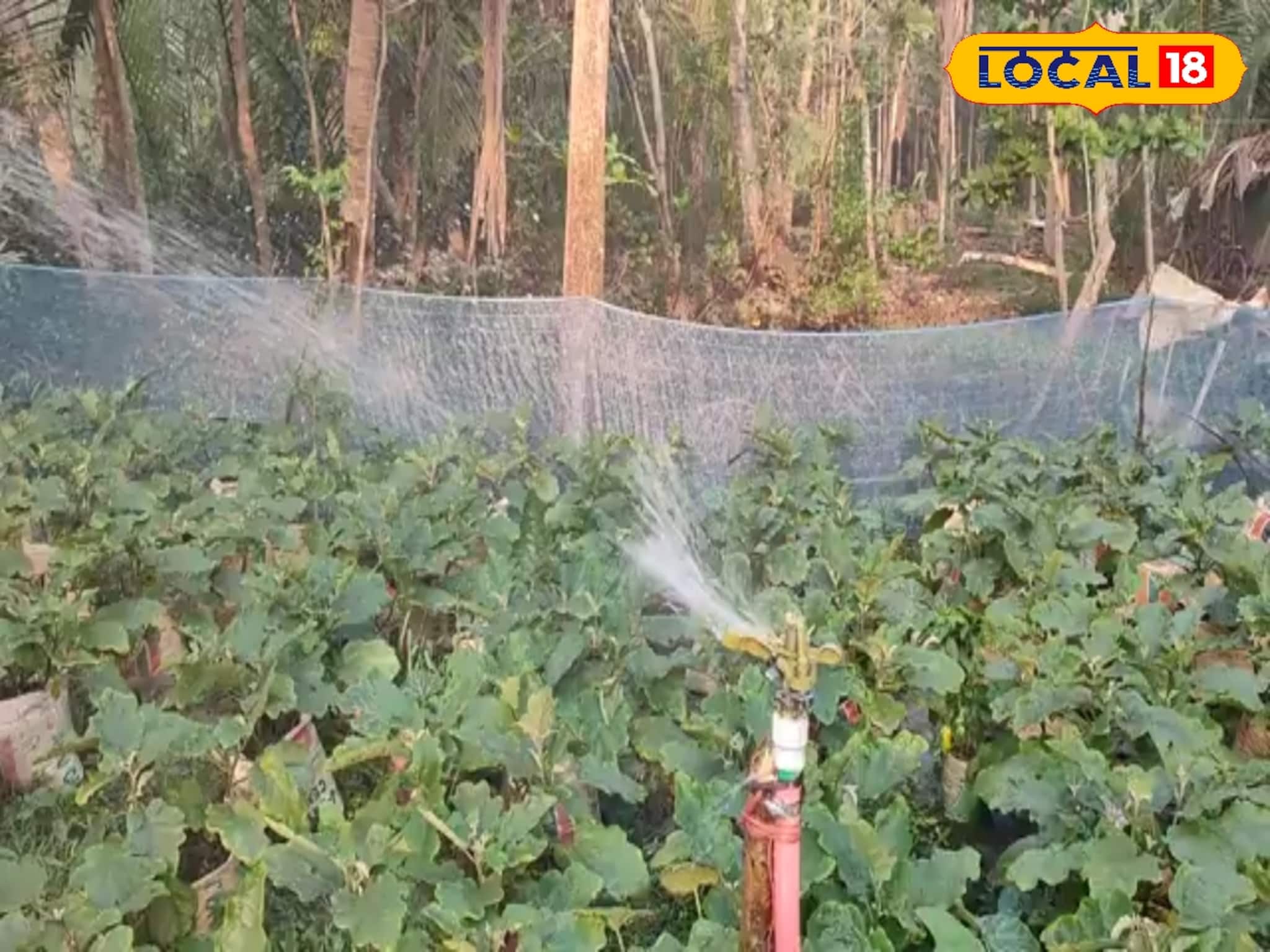 কৃষকদের সুবর্ণ সুযোগ! বিনামূল‍্যে পেয়ে যাবেন সেচ যন্ত্র