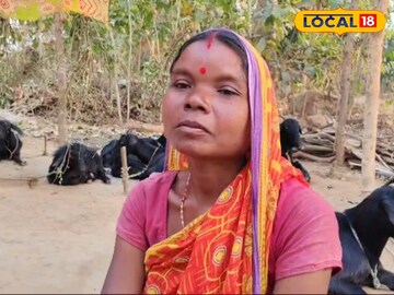 জঙ্গলমহলের