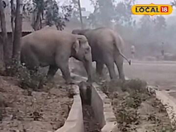 ড্রেন