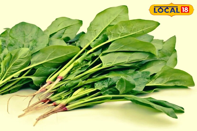 পালং শাকে প্রচুর পরিমাণে আয়রন, ফোলেট, ভিটামিন-A, C থাকে। এগুলি চুলের জন্য খুবই গুরুত্বপূর্ণ। পালং শাক এগুলির ঘাটতি পূরণ করতে সাহায্য করে।