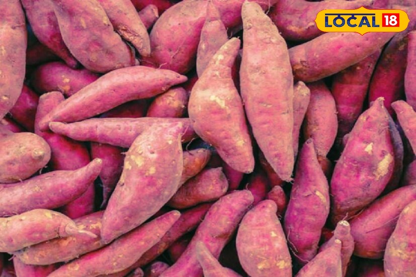 মিষ্টি আলু বিটা-ক্যারোটিনের একটি ভাল উৎস। এটি মাথার ত্বককে হাইড্রেটেড রাখে এবং চুলকে সুস্থ রাখে। এতে থাকা অ্যান্টি-অক্সিডেন্ট চুলের ক্ষতি কমায়।