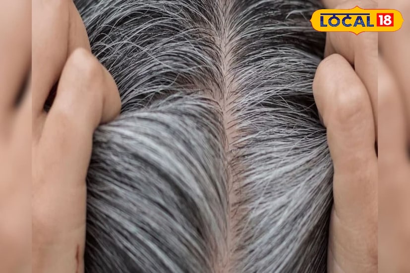 চা তো রোজ সকাল সন্ধ্যেবেলা পান করে থাকেন। গরম চায়ে চুমুক দিতে বেশ ভালই লাগে প্রত্যেকের।তবে একদিন মাথায় লাগিয়ে দেখুন কাজ দেবে।জলের মধ্যে ২ চামচ চা পাতা দিয়ে ফুটিয়ে নিন।এবার সেটি ঠান্ডা হওয়ার জন্য অপেক্ষা করুন এবং ঠান্ডা হয়ে গেলে মাথায় লাগিয়ে নিন।মাথায় লাগিয়ে ১০ মিনিট একটু রোদে দাঁড়ান।দিয়ে ধুয়ে ফেলুন চুল কালো হতে বাধ্য।