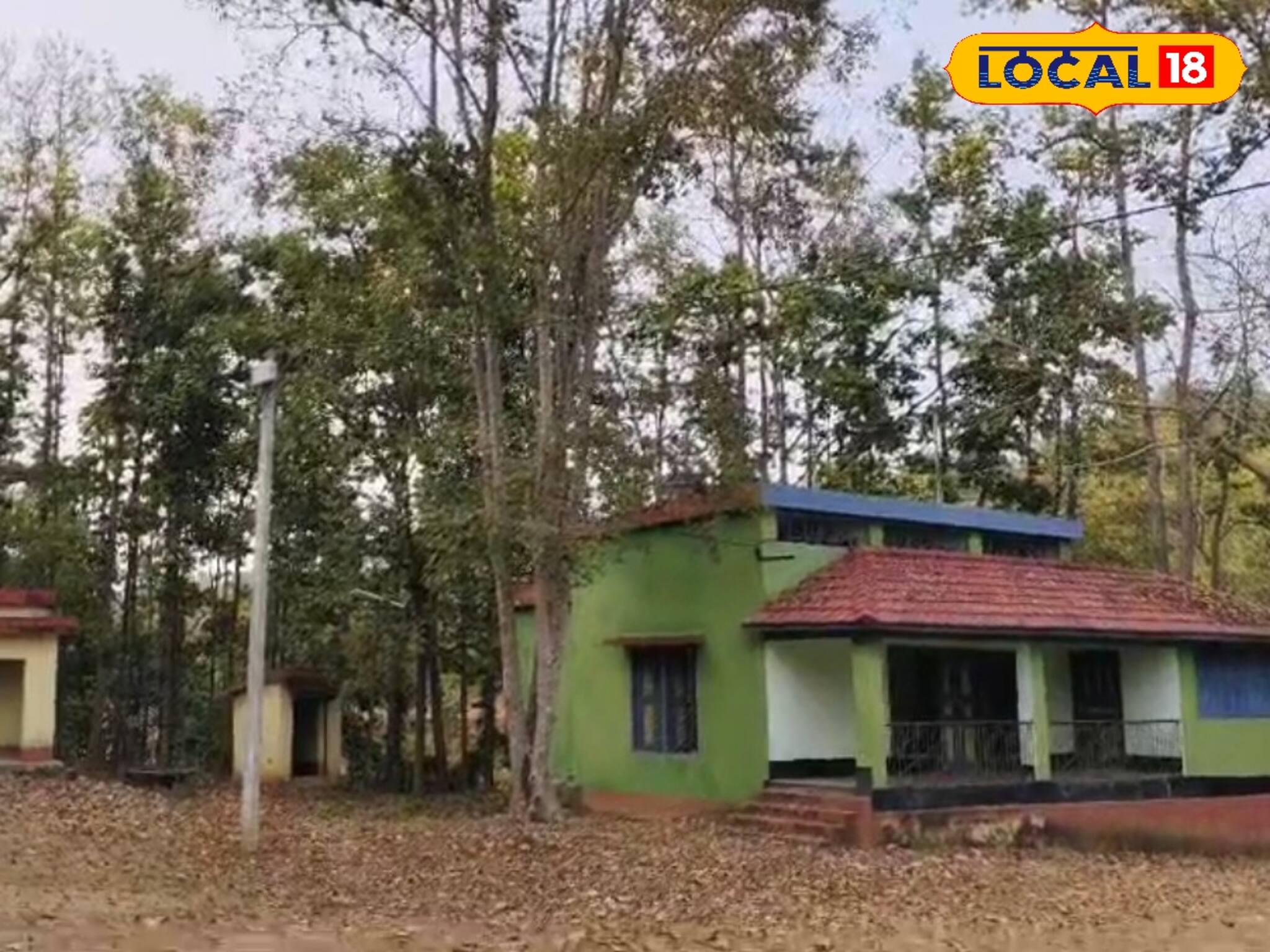 অনেক হল দিঘা, দার্জিলিং! এবার ঘুরে আসুন এই সাইলেন্ট জঙ্গলে, দিনে অ্যাডভেঞ্চার, রাত হলেই...