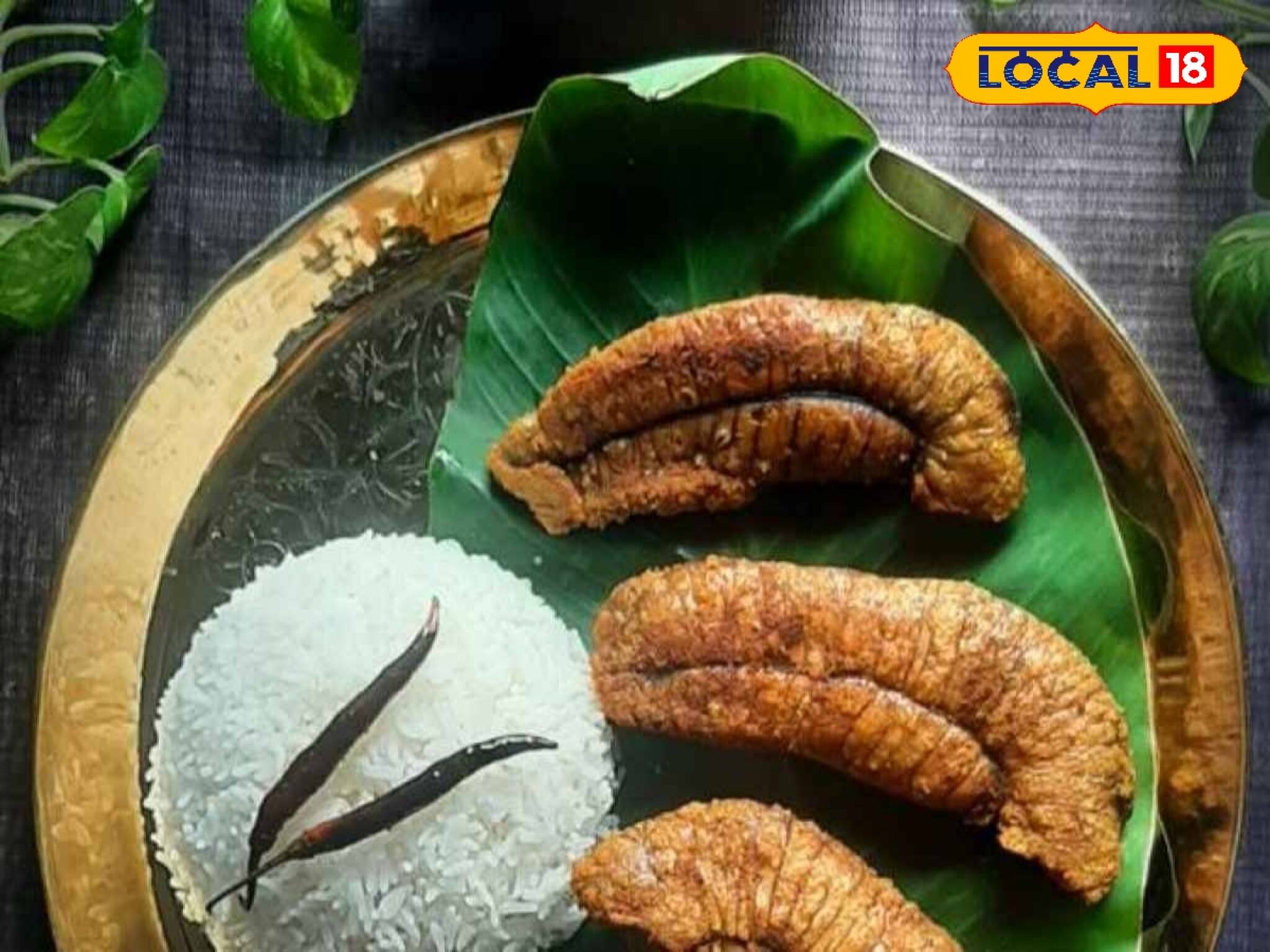 হাইপারটেনশন, হৃদরোগ, দূর করে! হিমোগ্লোবিন বাড়ায়! মাছ নয়, খান মাছের এই বিশেষ অংশ