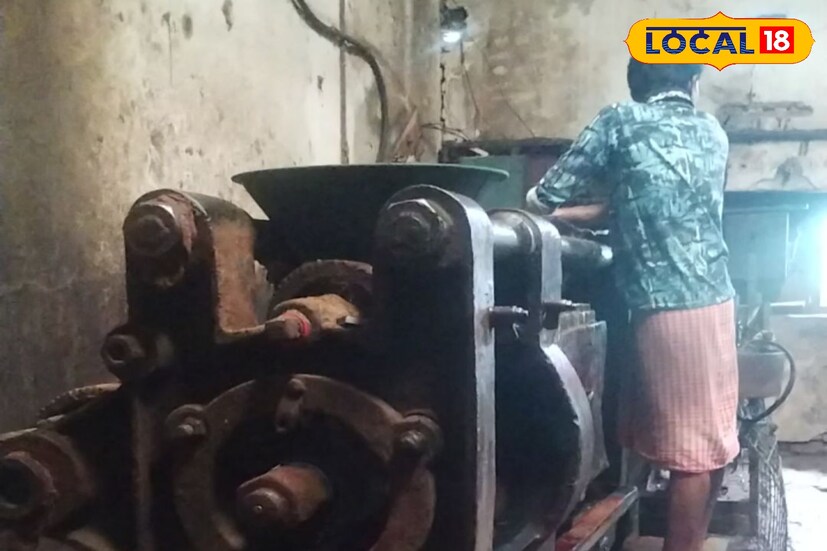 তেল চিটচিটে আবহাওয়া, ভয়ঙ্কর ঝাঁজ! তৈরি হচ্ছে খাঁটি সর্ষের তেল।