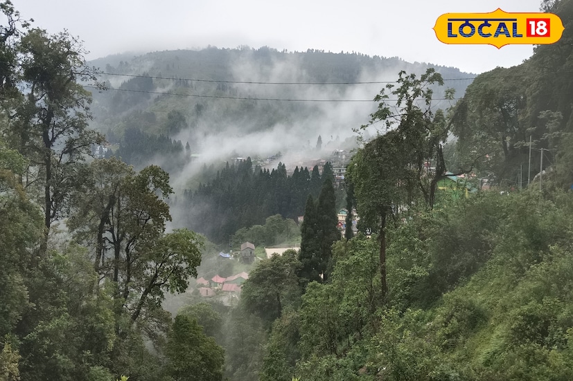 বৃষ্টির পরেই তাপমাত্রা কমছে শৈল শহরে! ফের একবার শৈল শহরেরে পাশাপাশি রাজ্য জুড়ে বৃষ্টির পূর্বাভাস।হালকা থেকে মাঝারি বৃষ্টির সঙ্গে দার্জিলিংয়ে হতে পারে তুষারপাতও। বৃষ্টির পরেই তাপমাত্রা কমছে শৈল শহরে! ফের একবার শৈল শহরেরে পাশাপাশি রাজ্য জুড়ে বৃষ্টির পূর্বাভাস।হালকা থেকে মাঝারি বৃষ্টির সঙ্গে দার্জিলিংয়ে হতে পারে তুষারপাতও।