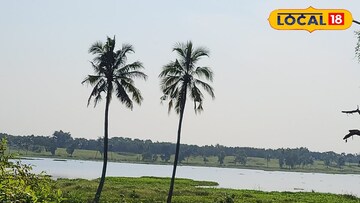 শরশঙ্কা