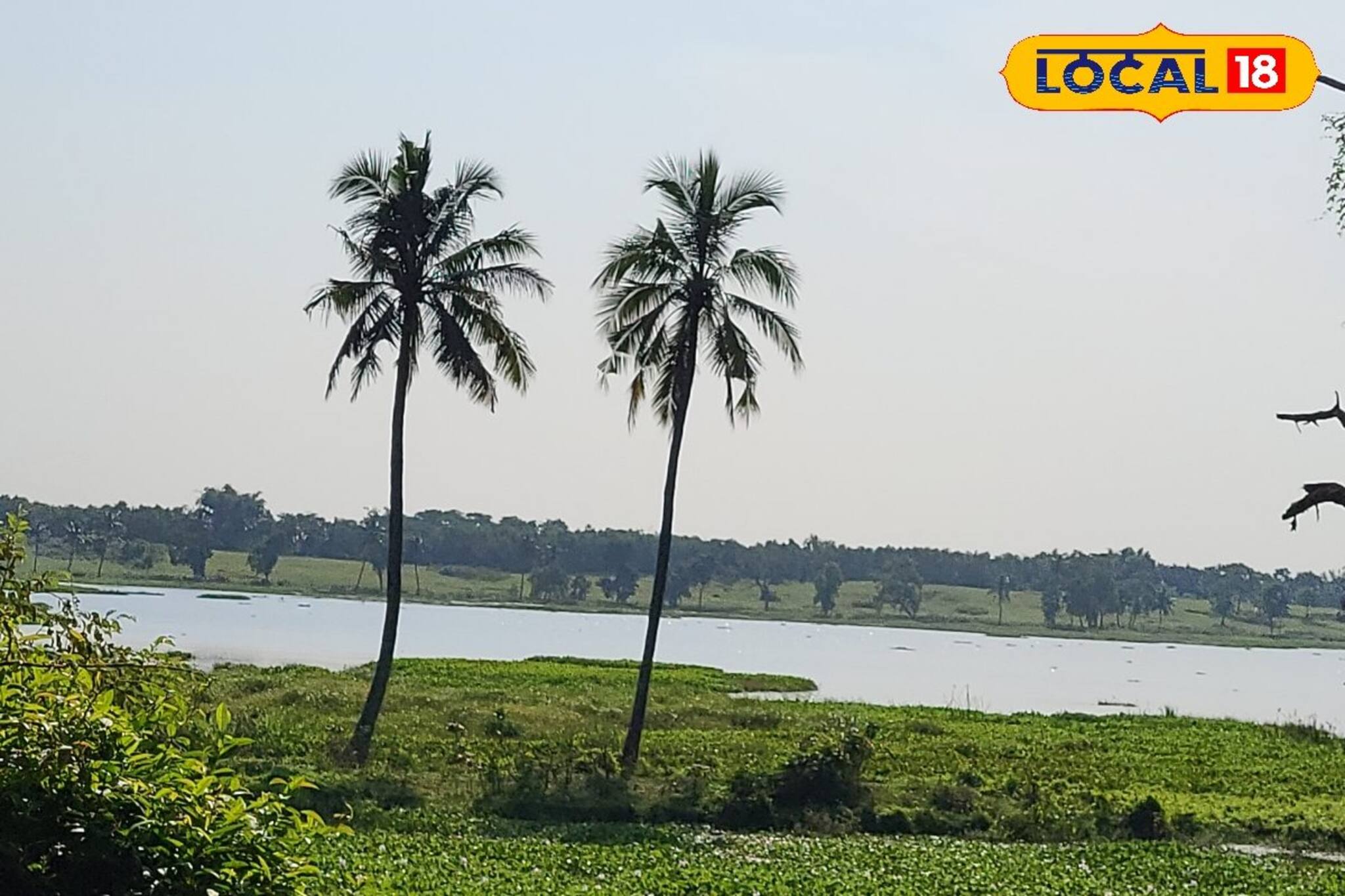 তিরতিরে ঢেউয়ে ইতিহাসের গুঞ্জন! গৌড়রাজ শশাঙ্কের সময় খনন করা পুষ্করিণী আজও টলটলে