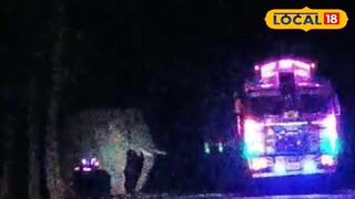 লালগড়ের জঙ্গলে আলু বোঝায় লরি থামিয়ে আলু খাচ্ছে হাতি