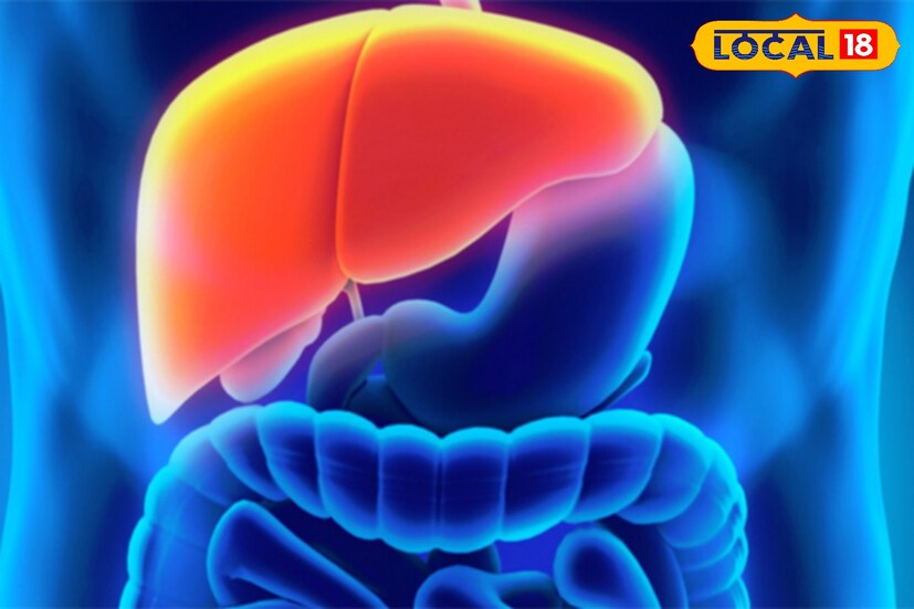 ফ্যাটি লিভারের সমস্যা থেকে মুক্তি পেতে অতিরিক্ত মশলাযুক্ত খাবার এড়িয়ে চলতে হবে। কারণ এসব খাবার থেকে ফ্যাট বাদ দেওয়া হয় ঠিকই, কিন্তু খাবারের স্বাদ ধরে রাখতে প্রচুর পরিমাণ চিনি যোগ করা হয়। এতে লিভারের সমস্যা বেড়ে যেতে পারে।