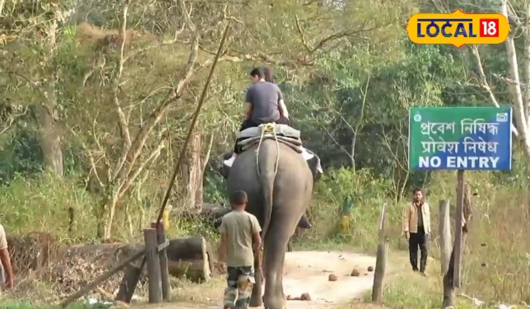 ডুয়ার্সে ফের শুরু হাতি সাফারি! পর্যটকদের জন্য খুশির খবর, কত খরচ, কী ভাবে বুকিং করবেন?