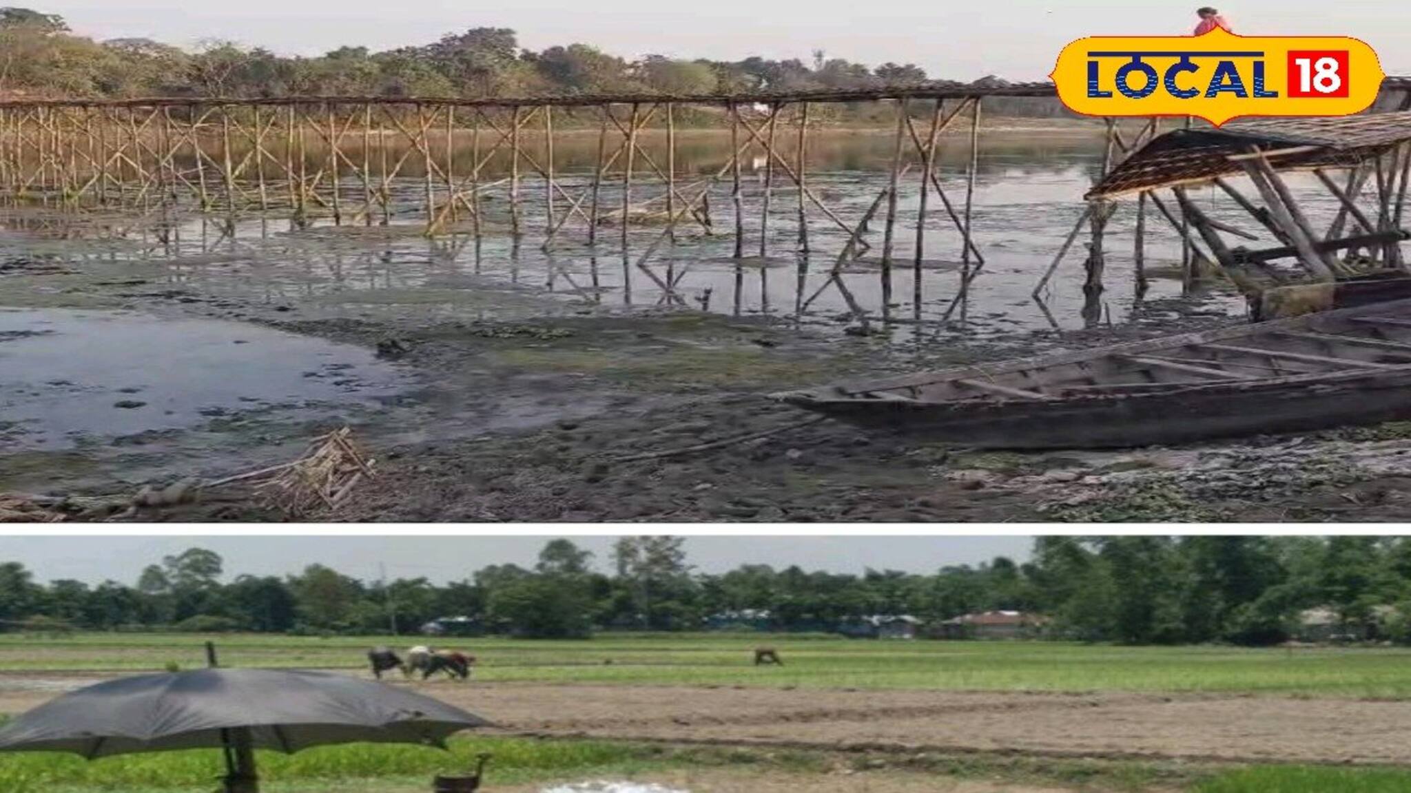 মহা সমস্যায় চাষিরা! বোরো ধান চাষে এই কারণে খরচ করতে হচ্ছে কাড়ি কাড়ি টাকা