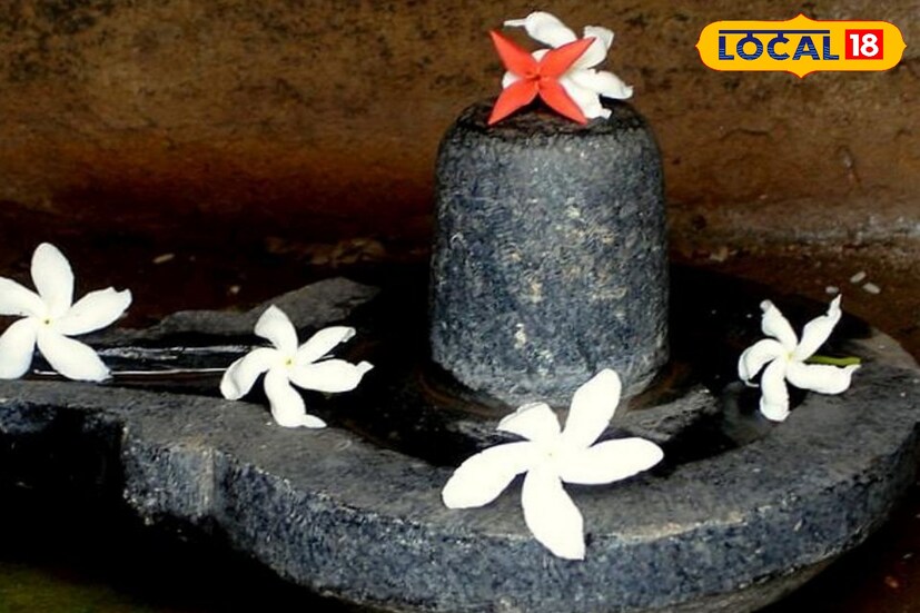 ২৬ফেব্রুয়ারি সারা দেশজুড়ে পালিত হচ্ছে মহাশিবরাত্রি। এদিন উপবাস রেখে মহাদিদেবের পুজো করার রীতি রয়েছে। বিশেষ করে এদিন শিবলিঙ্গের গুরুত্ব সবচেয়ে বেশি। এদিন কঠিন উপবাস রেখে শিবের মাথায় জল ঢালার সময় কাঁচা দুধ, ঘি, মধু নিবেদন করেন। এই উপাদানগুলি দিয়ে পুজো দিলে শিবঠাকুর অত্যন্ত খুশি হন। 