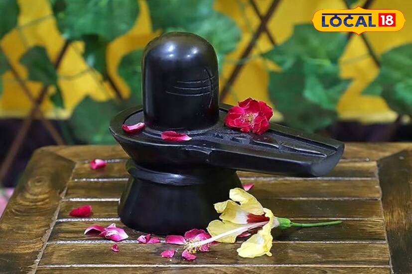 জ্যোতিষবীদ কৌশিক শাস্ত্রী জানাচ্ছেন, মহাশিবরাত্রির দিন শিবলিঙ্গে আরও বিশেষ কিছু নিবেদন করলে আরও বেশি মাত্রায় ফল পেতে পারেন। যেগুলি নিবেদন করার সঙ্গে সঙ্গে মহাদেব অত্যন্ত প্রসন্ন হন। শিবলিঙ্গ জল বা দুধ দিয়ে অভিষেক করার সঙ্গে সঙ্গে আরও কী কী জিনিস নিবেদন করলে উপকার পেতে পারেন. তা জেনে নিন এখানে।