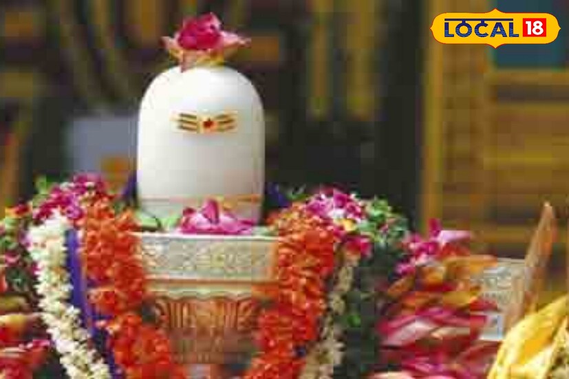 দই নিবেদন: মহাশিবরাত্রির দিন শিবলিঙ্গকে দই দিয়ে অভিষেক করলে গৃহ, গাড়ি ইত্যাদি সুখ পাওয়া যায়।