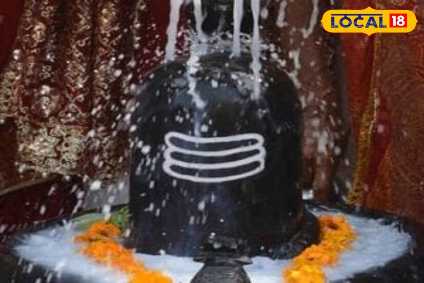 কুশ জল নিবেদন: এই বিশেষ দিন শিবলিঙ্গে কুশ জল নিবেদন করলে রোগভোগ ও দুঃখ থেকে মুক্তি পাওয়া যায়।