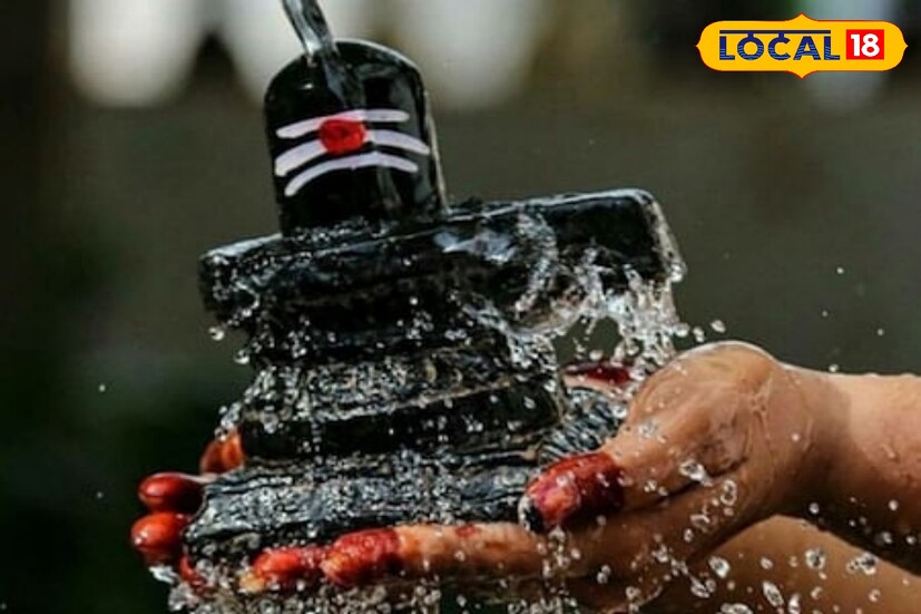 জল নিবেদন: মহাশিবরাত্রির দিন শিবলিঙ্গে জলাভিষেক করলে সমস্ত নেগেটিভ শক্তি কেটে যায়। প্রবেশ করে শুদ্ধ ও পজিটিভ শক্তি।