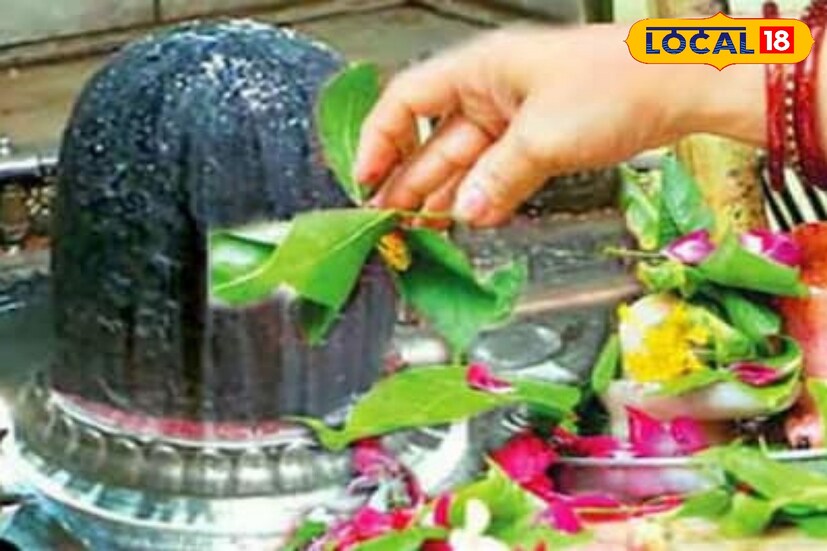 তিল নিবেদন: এমন পবিত্র দিনে শিবলিঙ্গে তিল অর্পণ করলে পিতৃদোষ দূর হয়। এছাড়া পিতৃপুরুষের আশীর্বাদ পাওয়া যায়।