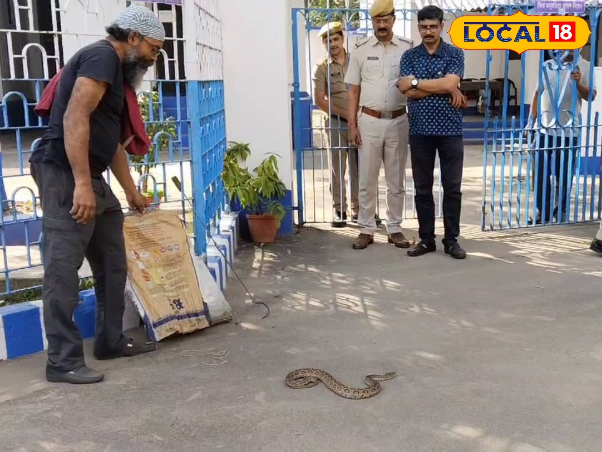 সাপের আঁতুড়ঘর...! ঘুরে বেড়াচ্ছে বিষধর চন্দ্রবোড়া, পুলিশের হেড কোয়ার্টারে চরম আতঙ্ক