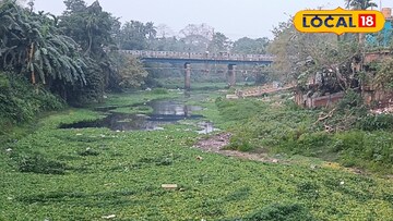 মৃতপ্রায়