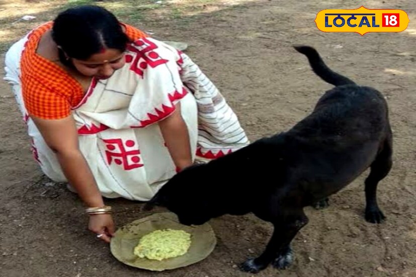 তাই পোষ্যদের শারীরিক সমস্যা বা জটিল রোগে আর বিনা চিকিৎসা নয়, এবার পশুপ্রেমীরা চাইলেই নিতে পারবেন অত্যাধুনিক এই চিকিৎসা পরিসেবা