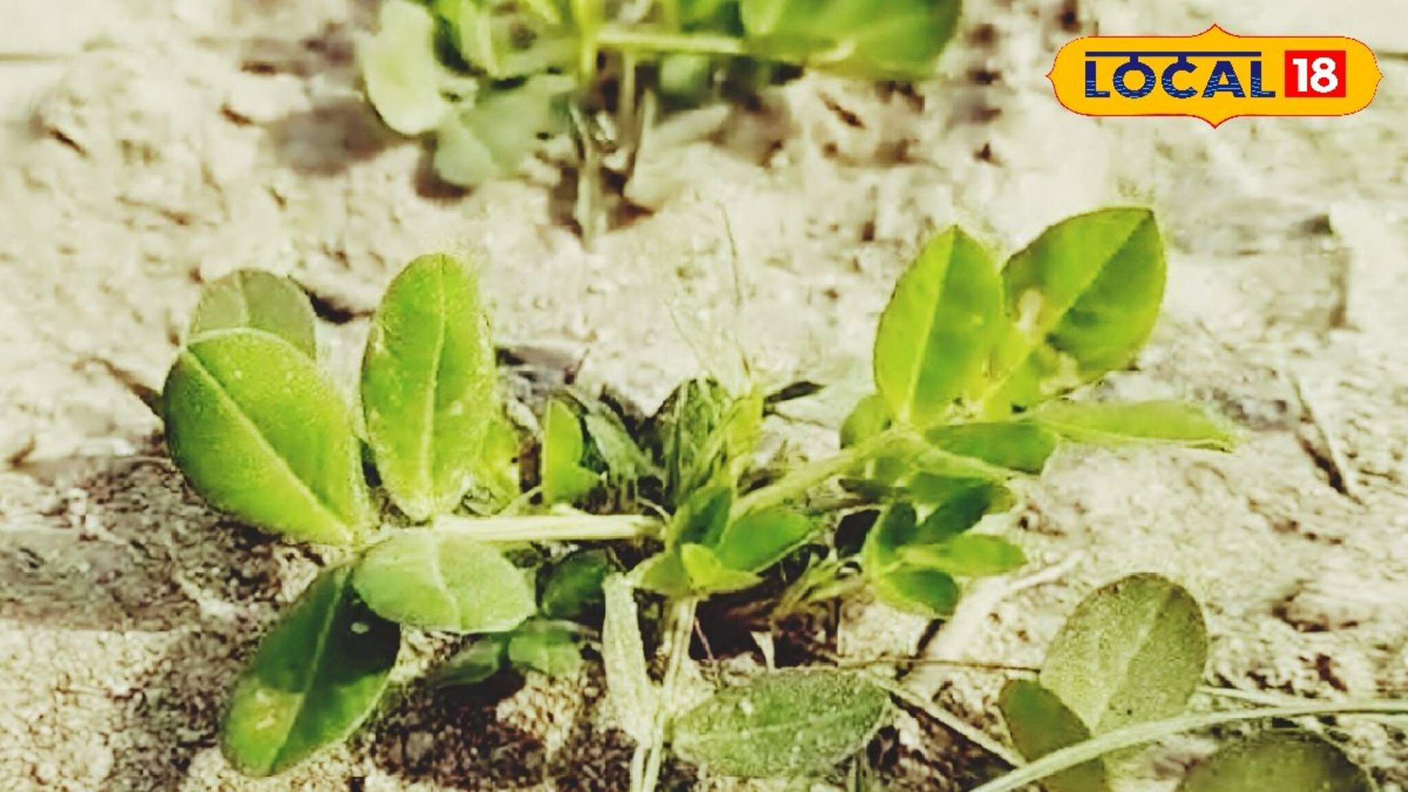 এই বিষয়গুলি মেনে চললে লাভবান হবেন অনেক বেশি