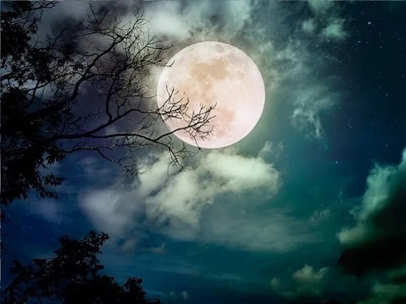 পূর্ণিমা তিথিকে হিন্দু ধর্মে অত্যন্ত বিশেষ বলে মনে করা হয়। এই দিনে ভগবান বিষ্ণু এবং চন্দ্র দেবের পূজা ও আরাধনা করার রীতি রয়েছে। পূর্ণিমা তিথির দিনে মানুষ গঙ্গা-সহ পবিত্র নদীতে স্নান ও দান করে। পূর্ণিমা তিথিকে হিন্দু ধর্মে অত্যন্ত বিশেষ বলে মনে করা হয়। এই দিনে ভগবান বিষ্ণু এবং চন্দ্র দেবের পূজা ও আরাধনা করার রীতি রয়েছে। পূর্ণিমা তিথির দিনে মানুষ গঙ্গা-সহ পবিত্র নদীতে স্নান ও দান করে।