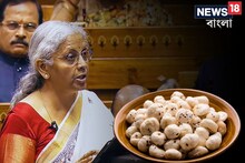 বাজেটে কেন হঠাৎ মাখানায় বাজি ধরলেন নির্মলা? গুণাগুণ জানলে সুপারফুডে মজবেন আপনিও