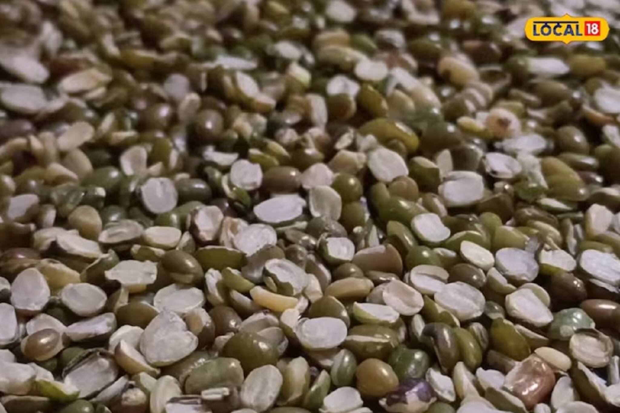 এ যেন প্রোটিনের ভাণ্ডার! চিকেন কিংবা মাটনের থেকেও স্বাদে-পুষ্টিতে ভরপুর; মহিলাদের জন্য ভাল