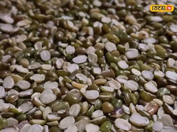 এ যেন প্রোটিনের ভাণ্ডার! চিকেন কিংবা মাটনের থেকেও স্বাদে-পুষ্টিতে ভরপুর; মহিলাদের জন্য ভাল