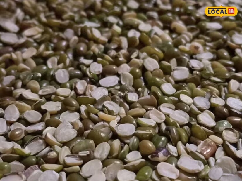 মরশুম বদল হচ্ছে। তাই খাদ্যাভ্যাস বা ডায়েটের উপর বিশেষ নজর দিতে হবে। যাতে শরীর এনার্জিতে থাকে ভরপুর। আর কোনও রোগও যেন শরীরকে ছুঁতে না পারে। এই পরিস্থিতিতে মুগ ডাল হতে পারে দুর্দান্ত সুপারফুড। যা স্বাস্থ্যের জন্য অত্যন্ত জরুরি। আসলে মুগ ডাল হালকা প্রকৃতির হলেও নানাবিধ পুষ্টিগুণে ভরা। আর সবথেকে বড় কথা হল, এই সুপারফুড হজম করাও অত্যন্ত সহজ। বিশেষ করে এর মধ্যে থাকা প্রোটিন, ভিটামিন এবং মিনারেল শরীরকে প্রয়োজনীয় পুষ্টি জোগায়। আজকের প্রতিবেদনে মুগ ডাল খাওয়ার উপকারিতা জেনে নেওয়া যাক। 