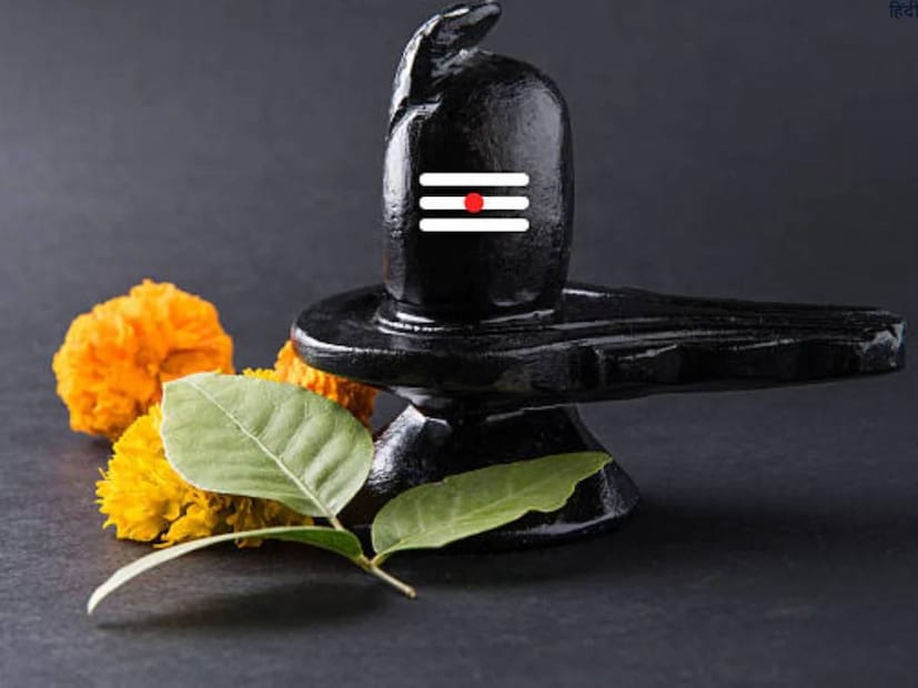 বুধবার, দেশ জুড়ে পালিত হচ্ছে মহাশিবরাত্রি৷ ফাল্গুন মাসে কৃষ্ণপক্ষের চতুর্দশী তিথিতে পালিত হয় এই পবিত্র তিথি৷ কথিত, সামান্য উপচারেই সন্তুষ্ট হন বাবা ভোলানাথ৷ তবে এই তিথিতে তাঁকে কিছু জিনিস ভুলেও নিবেদন করবেন না৷ কিছু খাবার গ্রহণ করবেন না৷ 