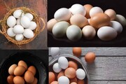 দেশি মুরগির ডিম নাকি পোলট্রির ডিম? কোনটা খেলে হার্ট ভাল থাকে? সুস্থ থাকতে কোনটা উপকারী?