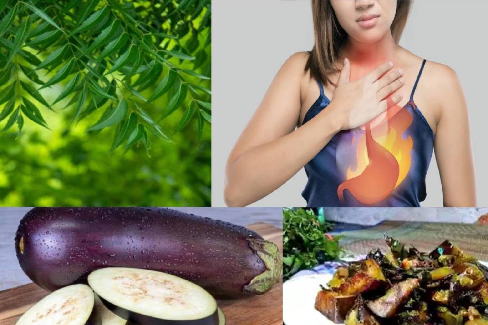 UTI-এর জ্বালায় আরাম! গ্যাস অম্বলের ছুটি! অরুচি বদহজম দূর করতে এভাবে খান নিমবেগুন ভাজা