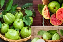 এঁরা দাঁতেও কাটবেন না পেয়ারা! খেলেই শরীর ফুটিফাটা! জানুন কারা পেয়ারা খেলে শরীরের ভরাডুবি