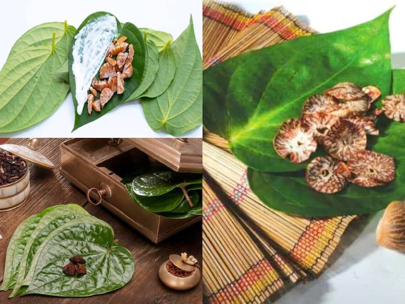পান-সুপারি হল বঙ্গজীবনের অঙ্গ৷ বাঙালি বাড়িতে নিত্যদিনের অবসর হোক বা কোনও শুভ অনুষ্ঠান-পান সুপুরিকে খুবই শুভ বলে মনে করা হয়৷