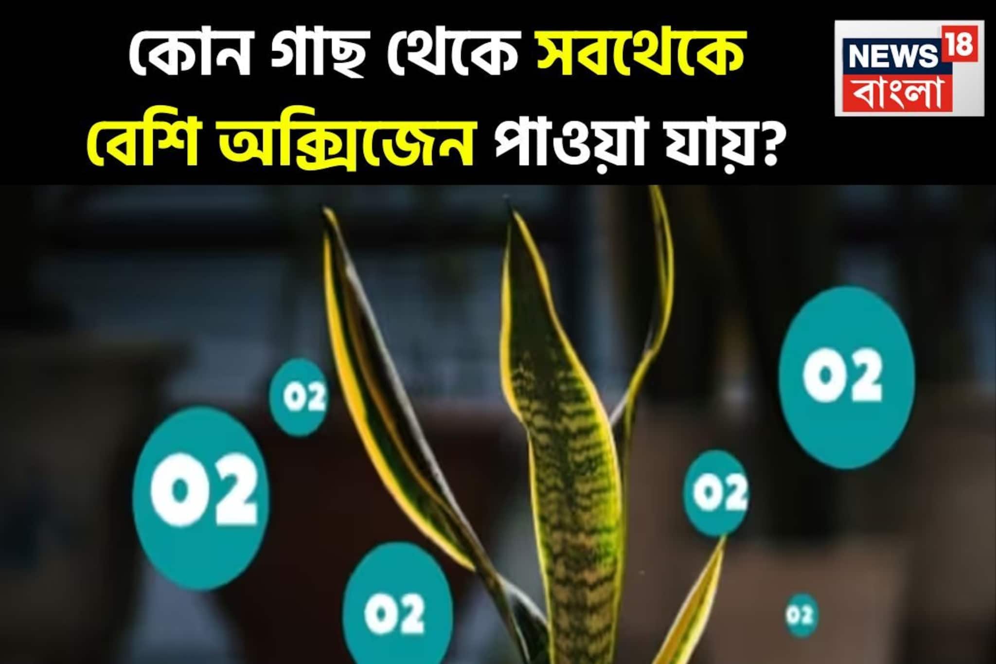 GK: কোন গাছ থেকে আমরা সবথেকে বেশি অক্সিজেন পাই? উত্তর দিতে ব্যর্থ ৯৯ শতাংশ