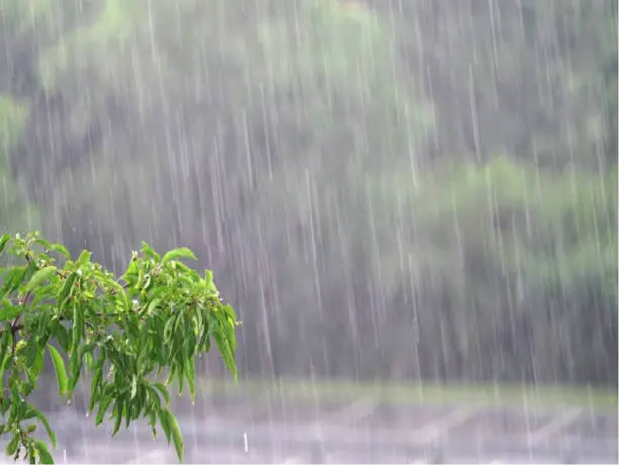 তাপমাত্রা বাড়ছে লাফিয়ে লাফিয়ে, ঝড়-বৃষ্টি দাপট দেখাবে জেলায়-জেলায়, রইল ওয়েদার আপডেট