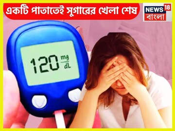 এক পাতাতেই সুগার শেষ! ক্লান্তি দূর করে শরীর ফুটবে টগবগ করে, সারাদিন চাঙ্গা ও চনমনে এক পাতাতেই সুগার শেষ! ক্লান্তি দূর করে শরীর ফুটবে টগবগ করে, সারাদিন চাঙ্গা ও চনমনে