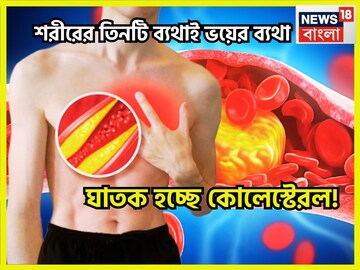 শরীর তিনটি ভয়ঙ্কর ব্যথা! হাড় ভাঙার মত ভয়ানক যন্ত্রণাই বলবে কোলেস্টেরল সব শেষ করছে!