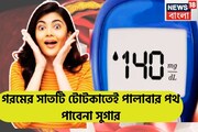 গরমের আগেই সুগারের মহাটোটকা! সাতটি ফর্মুলাতেই প্রবল গ্রীষ্মের আগেই পালাবার পথ পাবেনা