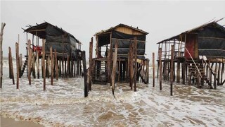 *মন্দারমণি ও শংকরপুর সমুদ্র সৈকতের মাঝে অবস্থিত তাজপুর সমুদ্র সৈকত। পূর্ব মেদিনীপুর জেলার সদর শহর তমলুক থেকে দূরত্ব মাত্র ৭৫ কিলোমিটার। বাস বা ট্রেন দুটোতেই পৌঁছনো যায় তাজপুর সমুদ্র সৈকতে। মেচেদা থেকে দিঘাগামী বাসে করে বালিসাই নেমে সেখান থেকে টোটো, ভ্যান এবং গাড়ি পাওয়া পাওয়া যায় তাজপুর সমুদ্র সৈকত যাওয়ার। সংগৃহীত ছবি।  
